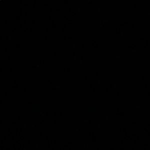 Meet your Posher, Liliana